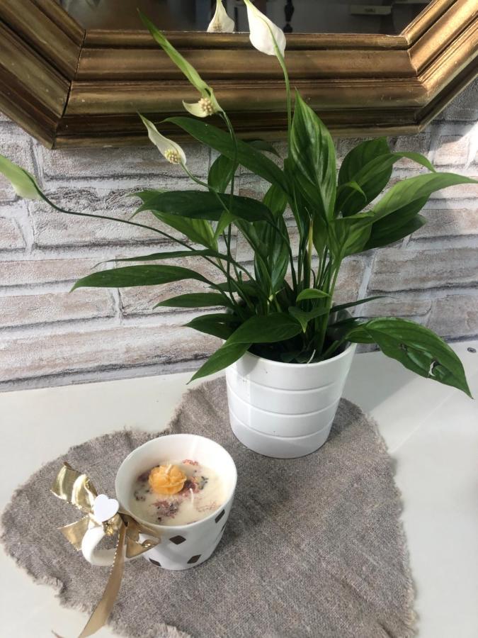 Casa Nonna Elide Lägenhet Besozzo Exteriör bild